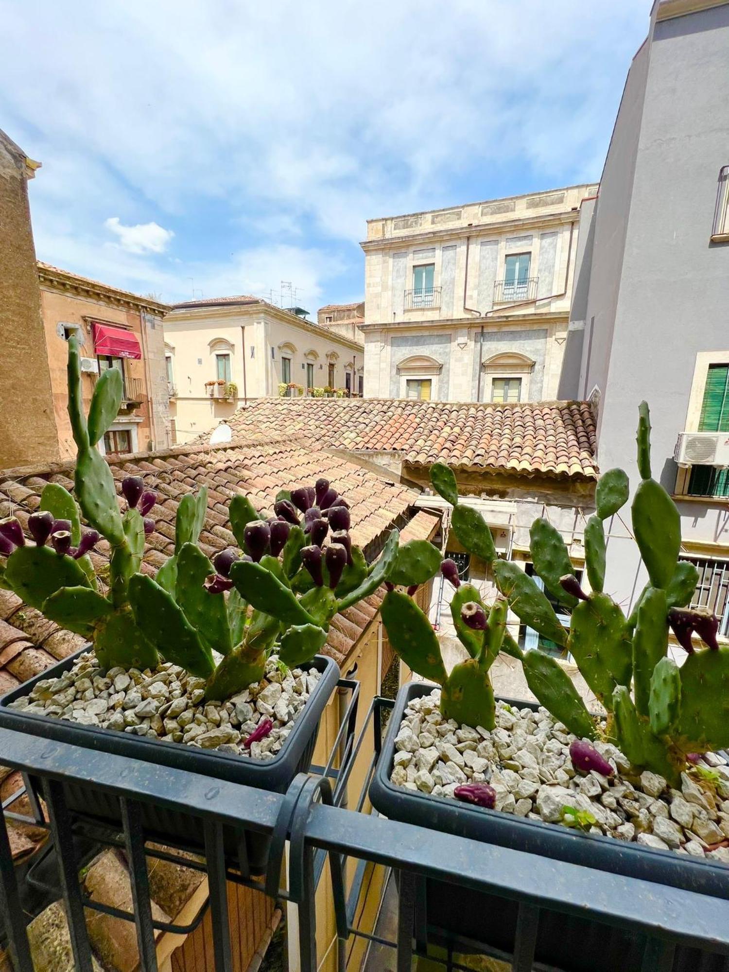 Erasmo 19 Luxury Home Catane Extérieur photo